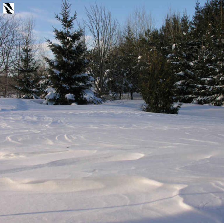 field with faska, blown snow