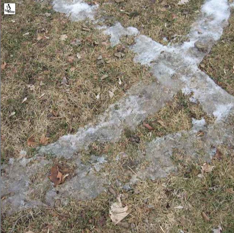 ski tracks on green grass