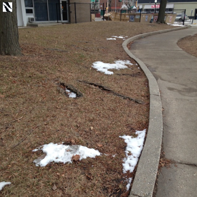 remaining bits of snow on lawn