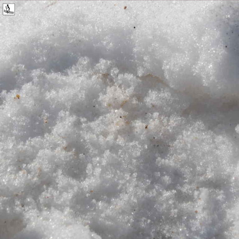 close up view of tjarva snow