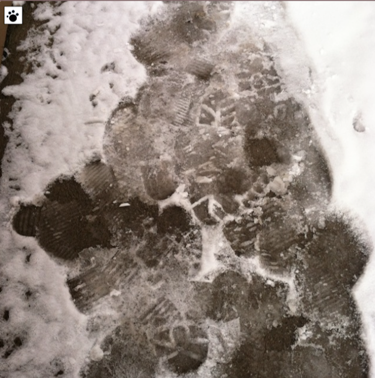 various human prints on pavement