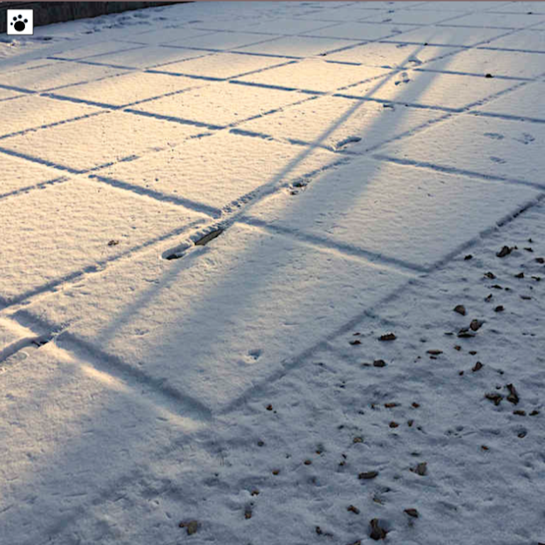 pavement with thin coating of snow